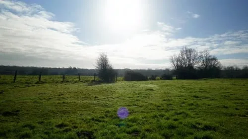 jmcomic1.7.6官网下载田园自然风光高清视频素材